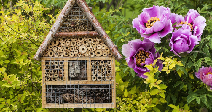 Immobilier neuf : le label Biodivercity