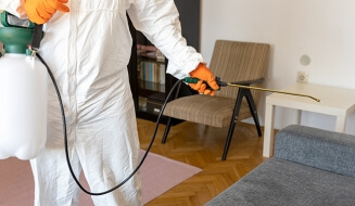 Qui doit payer la désinfection ?