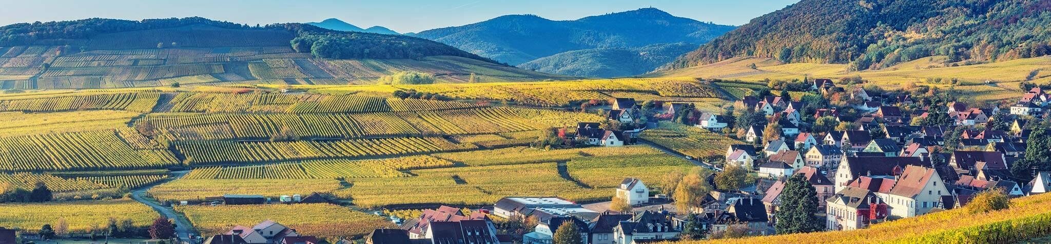 NOS BIENS IMMOBILIERS NEUFS DANS LE HAUT-RHIN (68) NOS BIENS IMMOBILIERS NEUFS DANS LE HAUT-RHIN (68)